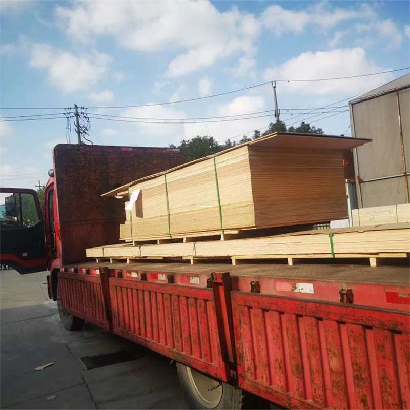 河南开封兰考县至塔城货运专线，一站式物流服务助您成功